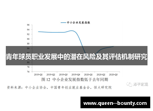 青年球员职业发展中的潜在风险及其评估机制研究